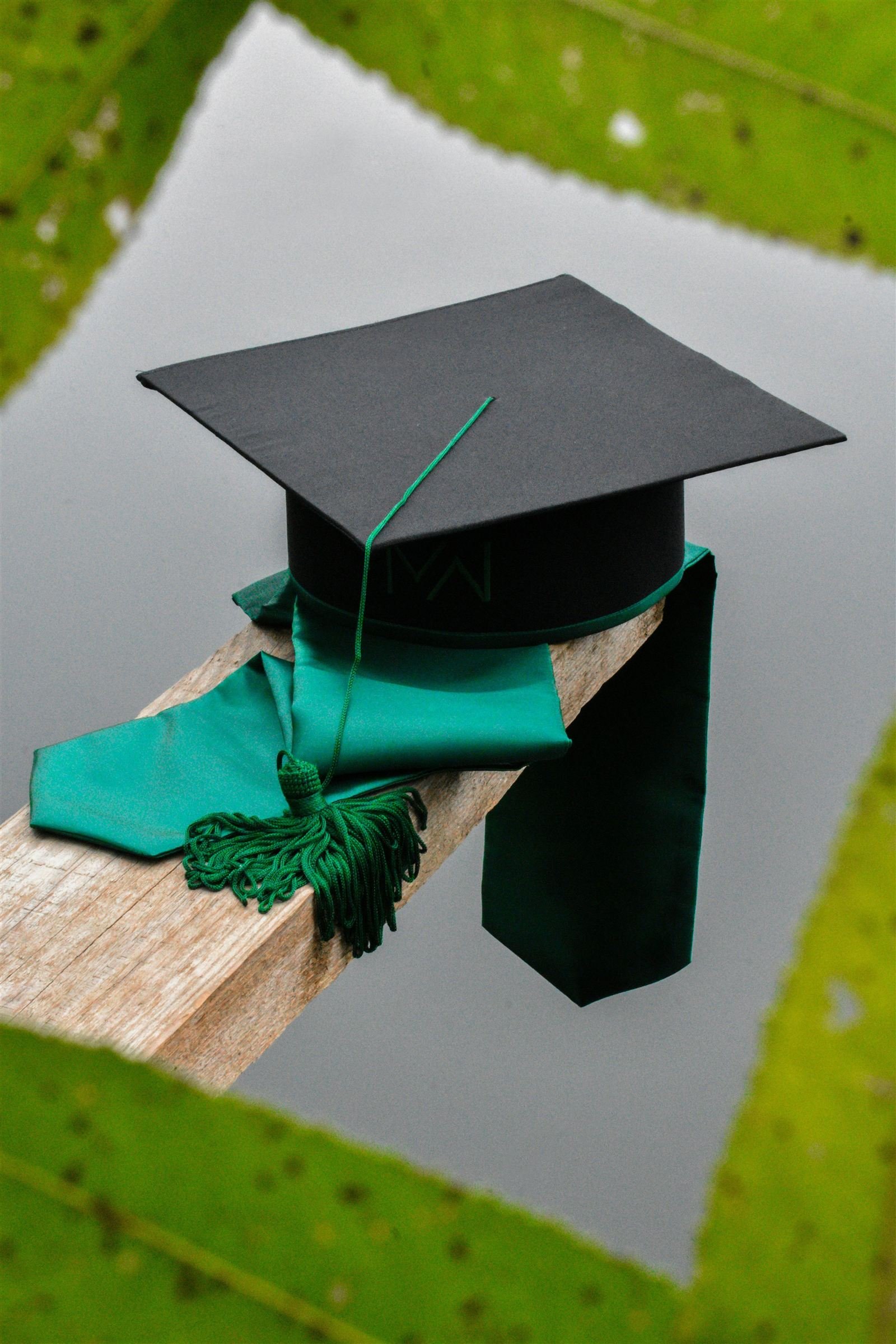 Temporary Graduate Visa (485)